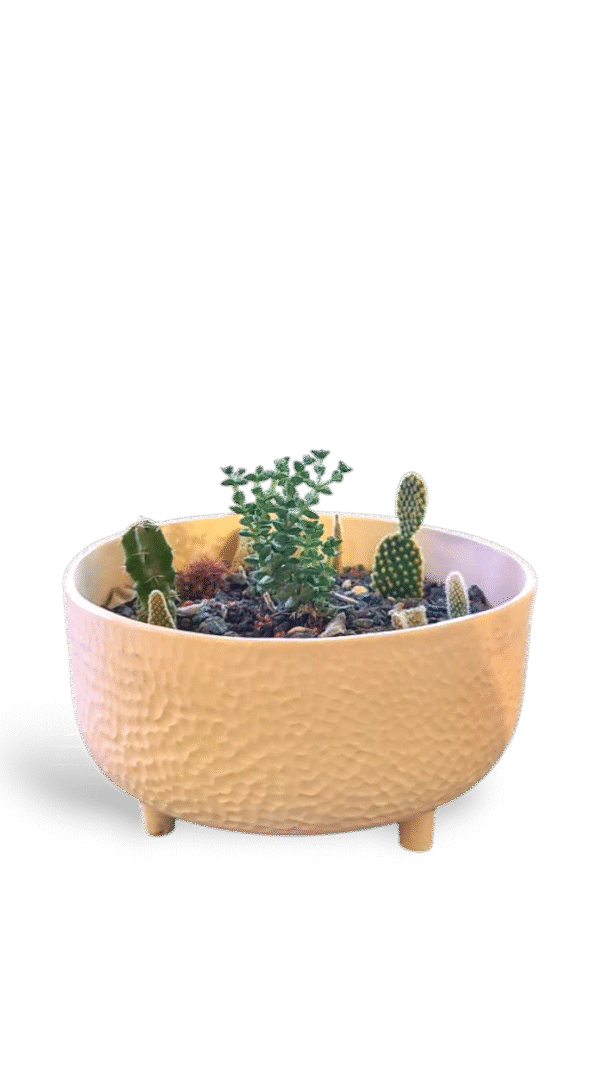 WhatsApp Image 2025-11-03 at 8.24.10 PM Macetero Zen