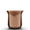 Mate Térmico Estelar